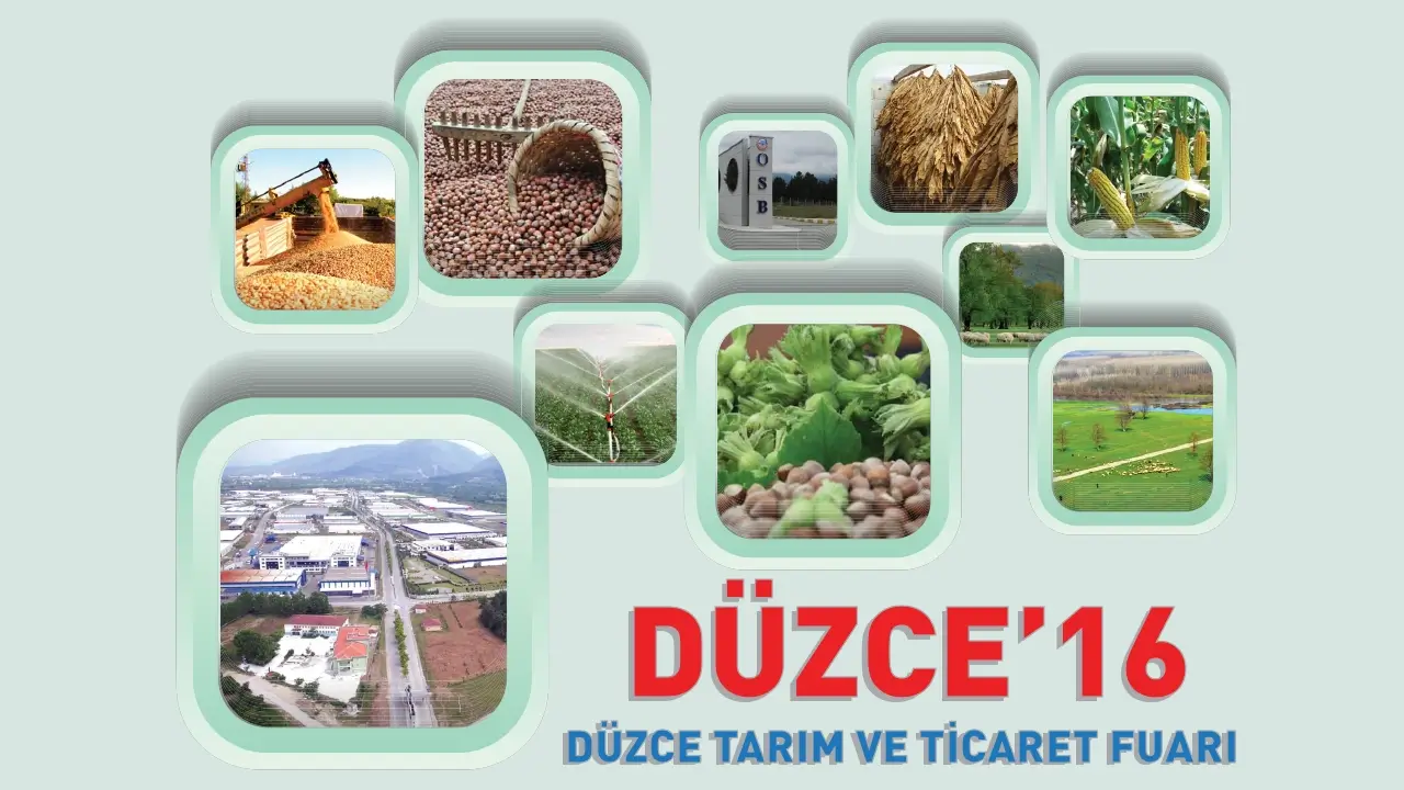 Düzce Tarım ve Ticaret Fuarı 2016